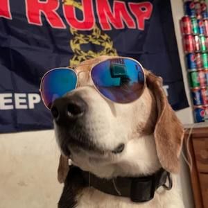 Meet your Posher, Dylan